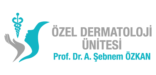 Prof. Dr. A. Şebnem Özkan